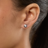 Studettes in Lunar Rhodium
