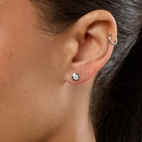 Studettes in Apple Red