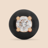 Studettes in Midnight Black